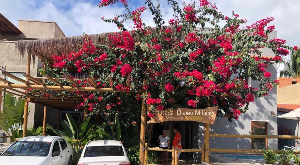 Pousada Divino Milagre Passo de Camarajibe Exterior foto