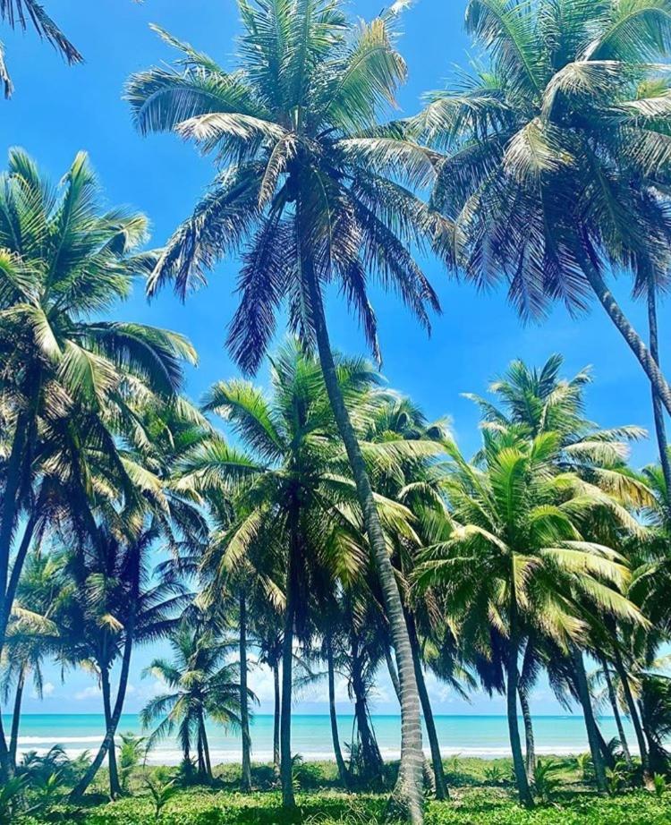 Pousada Divino Milagre Passo de Camarajibe Exterior foto